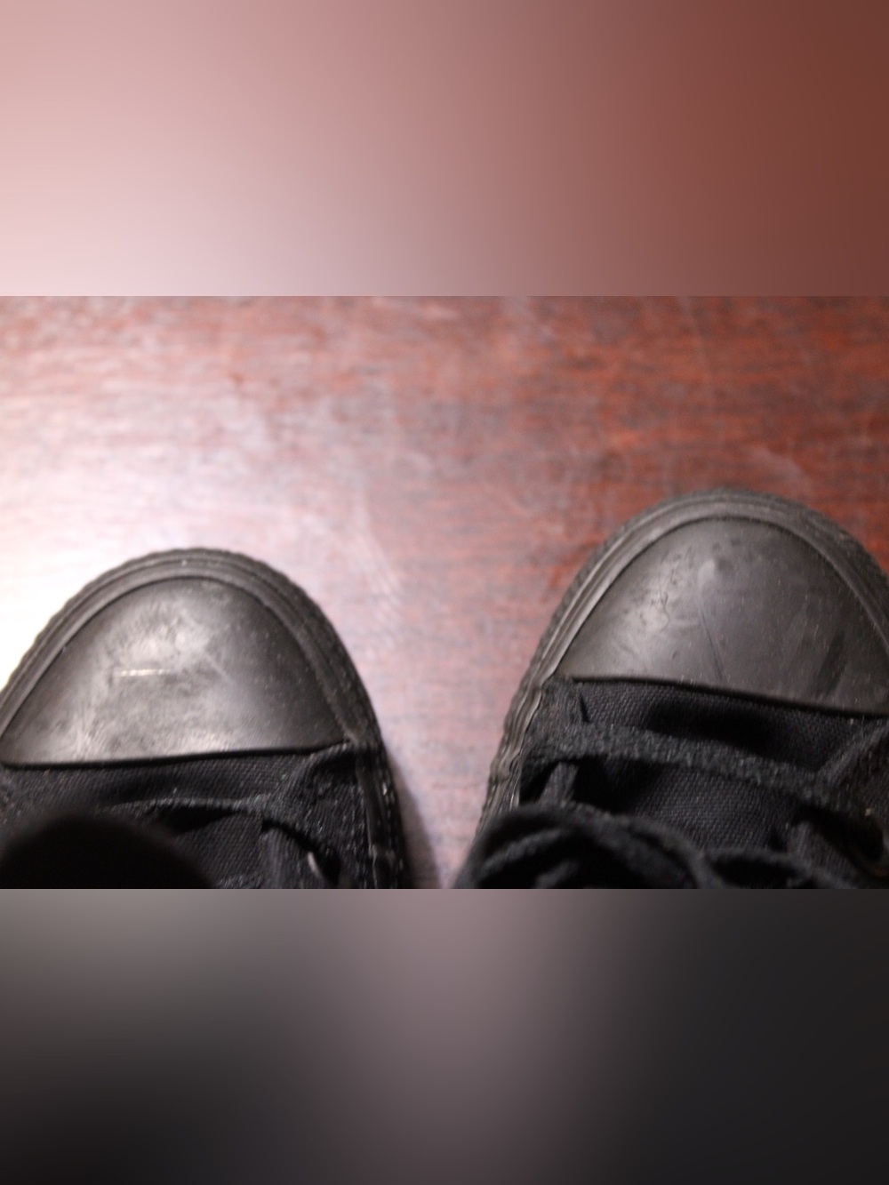 Chuck Taylor All Star Rose xoxo - Picture 6 of 7